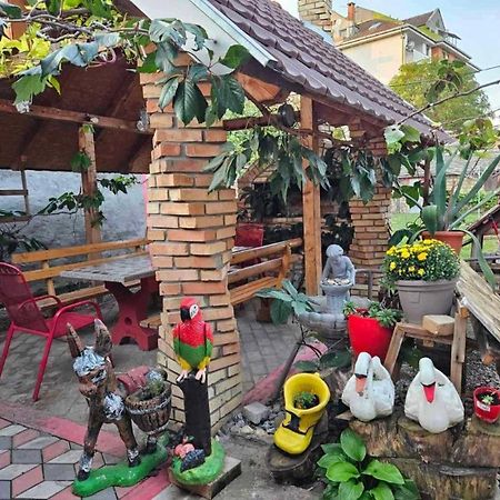 Apartman Centar Srbobran Екстериор снимка